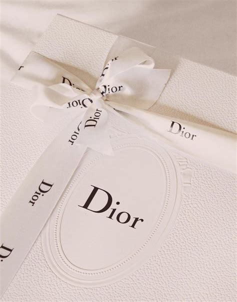 dior aesthetic brand